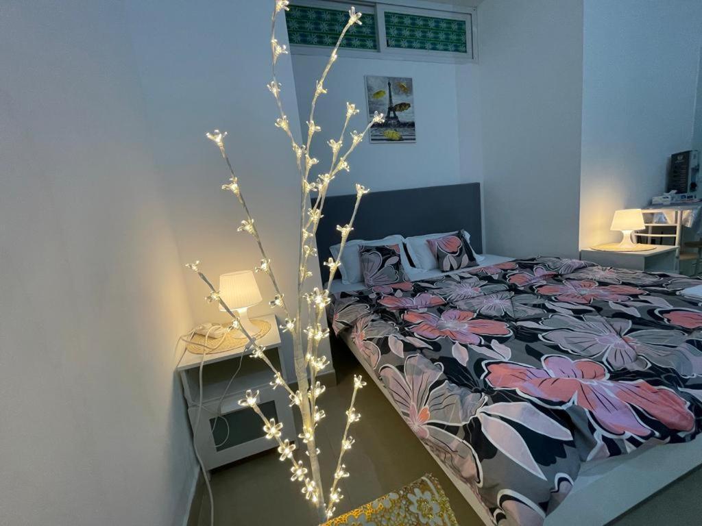 Private Cozy Furnished No 14 Khalidiya Park Uae * Abu Dhabi